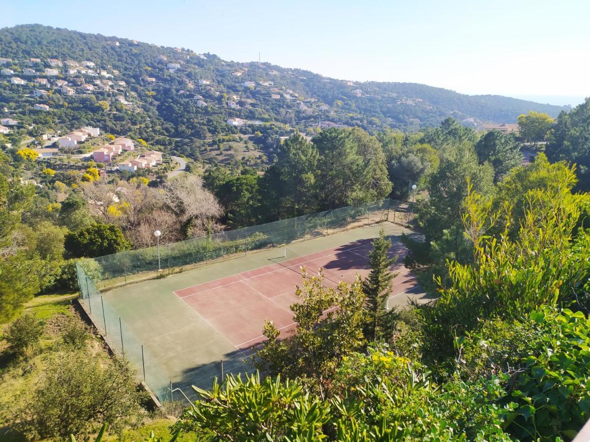 Vacance Location Mer Piscine Var Sud Terrasse Les Issambres Bagian luar foto